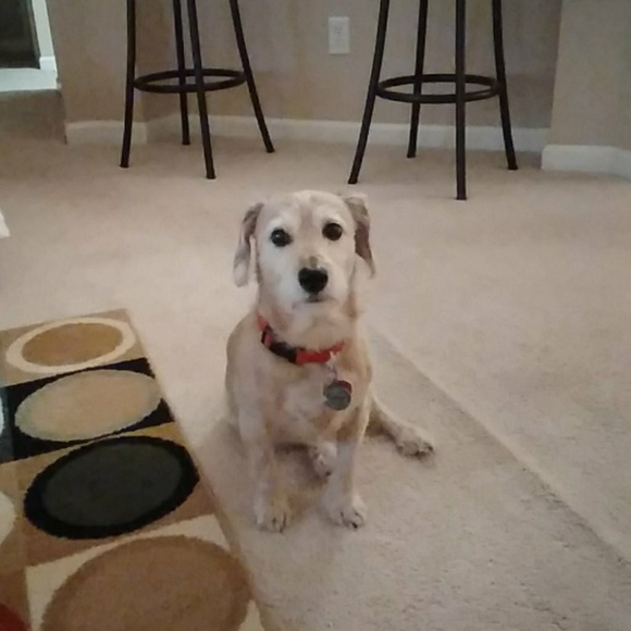 Meet your Posher, Troy - Picture 1 of 1